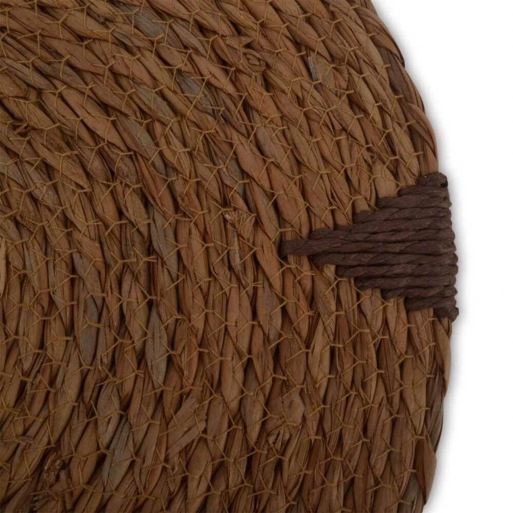 Individual de typha flor con detalles en papel